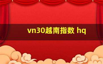 vn30越南指数 hq